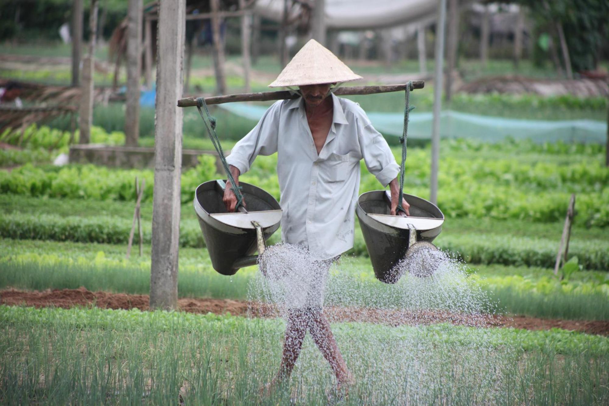 Charming Homestay Hoi An Exteriör bild