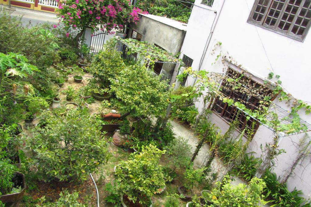 Charming Homestay Hoi An Exteriör bild