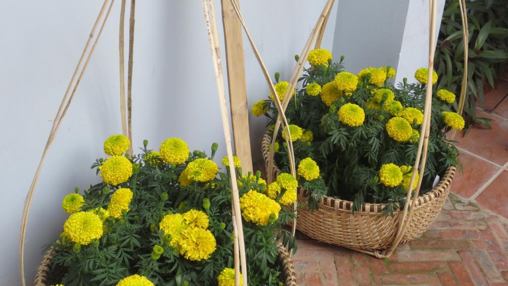 Charming Homestay Hoi An Exteriör bild