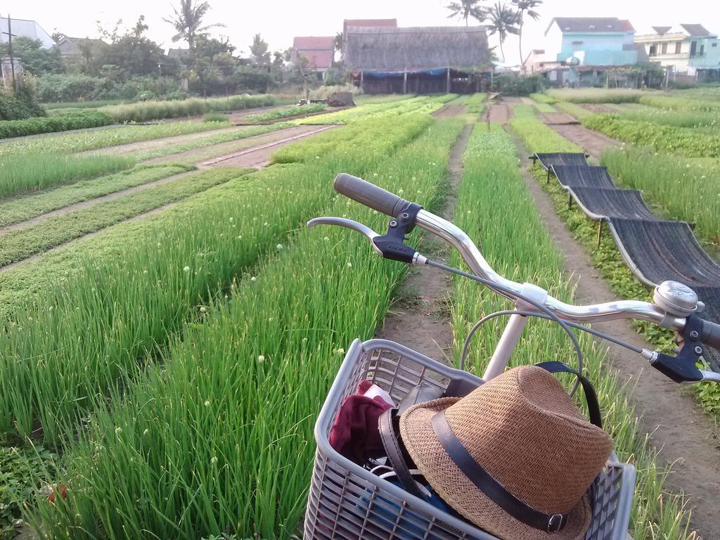 Charming Homestay Hoi An Exteriör bild