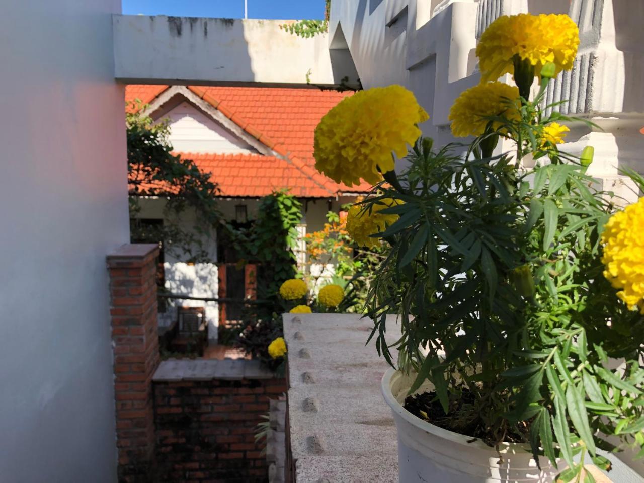Charming Homestay Hoi An Exteriör bild